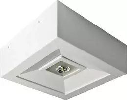 AWEX LED avarinis šviestuvas 3W 1h LOVATO N ECO LED 3W (atvira optika) vienos paskirties baltas LVNO/3W/ESE/X/WH - LVNO/3W/ESE/X/WH