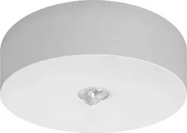 AWEX avarinis šviestuvas AXN IP65 LED 6W 600lm (optinis lovelis) 1h vienos paskirties AT baltas AXNC/6W/BSE/AT/WH - AXNC/6W/BSE/AT/WH