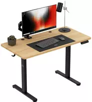 Meester Group Sp. z o.o. Meester Group Sp. su o.o. Leader 6.9 120 cm electric desk