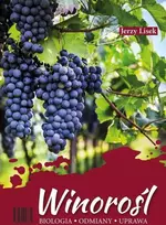 Viridia Ab Vynuogė. Biologija-veislės-auginimas.