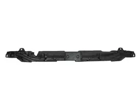 "Mercedes Benz AMG" priekinio centrinio bamperio putos originalios A2908859902