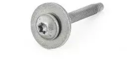 BMW Linsenschraube G20 G21 G30 F90 M5 G31 G32 GT G11 G12 X3 G01 X4 G02 X5 G05 Originalus 07147401706