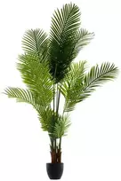 Atmosphera Dirbtinė palmė vazone, aukštis 170 cm
