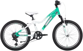 None Children's bicycle TABOU Topshe 20, mint-baltas