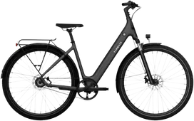 None Electric bicycle TENWAYS CGO800S, Midnight Juodas