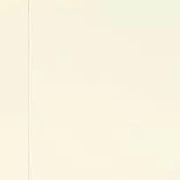 Carruzzo DUMALOCK CREAM Baltas GLOSS 1.2X0.25M