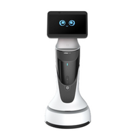 Išmanusis pasitikimo ir aptarnavimo robotas  OrionStar GreetingBot Mini