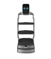 Maisto pristatymo robotas OrionStar LuckiBot
