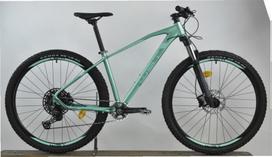 WTS Dviratis kalnų, 29 ", 15" rėmas, žalia sp.