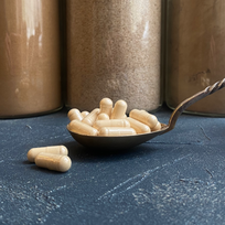 Ekologiški Lion's Mane (Liūto karčiai, Hericium erinaceus) grybai, 500 mg kapsulės (vnt)