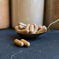 Ekologiškas tikrinis blizgutis (reishi) grybas, 500 mg kapsulėse (vnt)