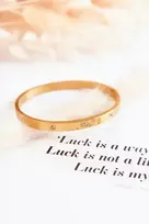 Glam Chic Plieninė apyrankė su kubiniu cirkonio aukso laurenu