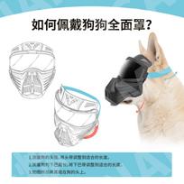 Gafas de sol protectoras para perros, lentes antivaho ajustables para mascotas, accesorios de viaje