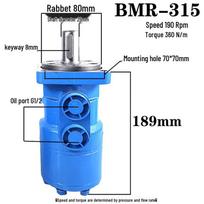 Yun Duo BMR-315 Hydraulic Cycloidal Motor