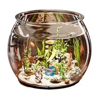 Transparent Round Ornamental Fish Tank Round Fish Tank Clear Guppy Tank Portable Goldfish Small Fish Bowl Home Desk Decor S