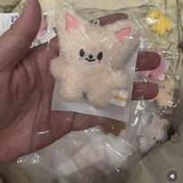 Nauji 32 stilių Stray kids 10 cm aukščio pliušinio žaislo raktų pakabuko dekoravimo pakabukas SKZOO kawaii krepšio dekoracija švelnus mielas gyvūnėlio lėlė Foxl.Ny