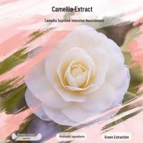 Syoss Camellia Oil Nourishing Repair Conditioner