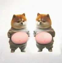 Cartoon 2Pcs 3D Shiba Inu Dog Belly Sticker Cute Puppy Sticker Soft Silicone Phone Case Sticker Adult Stress Easing Stickers