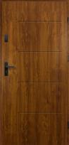 Lauko durys RADEX P55 TYTAN, auksinio ąž. sp., 950 x 2039 mm, kairė