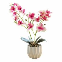 Multicolor Butterfly Orchid Artificial Bonsai 2 Forks Green Leaves Faux Orchid Flowerpotted White Flowerpot Photo Props šviesiai violetinė spalva