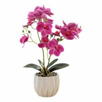 Multicolor Butterfly Orchid Artificial Bonsai 2 Forks White Flowerpot Simulation Phalaenopsis Flower Photo Props Green Leaves violetinė