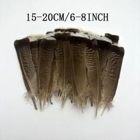 Natūrali kalakuto uodegos plunksna 10-30cm/10 4-12inch Galvos apdangalams Drabužiams Kepurėms Šventei Plunksnos Pasidaryk pats Karnavalui Vestuvių Dekoravimui 10PCS