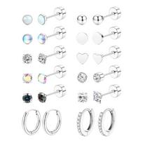 12Pairs Assorted Stud and Hoop Earring Set Delicate Stainless Steel Earring Set for the Fashion Forward Individuals 1