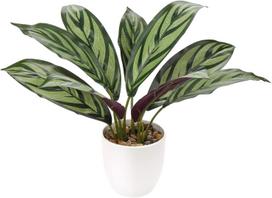 Sztuczny Kwiat W Doniczce Roślina Ozdobna Calathea Jak Żywa Dekoracja 33Cm