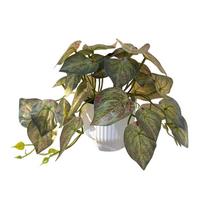 Multicolor Artificial Grass Bonsai Green Leaves White Flowerpot Desktop Ornament Photo Props Waterproof Green Vines Potted