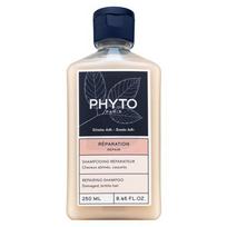 Phyto Repair Repairing Shampoo 250 ml 250ml