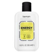 Kemon Energy Shampoo 250 ml 250ml