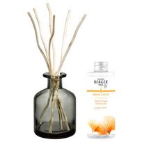 Maison Berger Paris Gift set Aroma Energy diffuser gray + refill Fresh tonic 200 ml 200ml