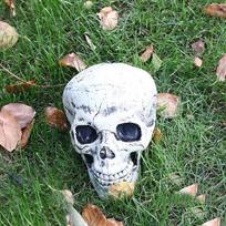 Realistiški skeleto kuolai su varna ir raudonomis akimis, zombių rankos ir kaukolės rinkinys kapinių, kiemo, vejos, sodo dekoravimui