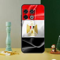 Egypt Flag Case For OnePlus Nord CE 4 2 3 Lite N20 N30 9 10 Pro 8T 9RT 10T 10R 12R 13R 11 12 13 Cover OnePlus Nord CE4Lite
