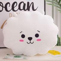 BTS BT21 Pliušinė komforto pagalvė Kpop namų dekoracija 30cm*30cm