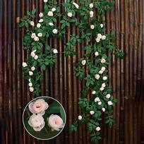 Silk Fake Rose Flowers Vine Real Touch Decoration Bouquet Artificial Flower  Photography Props Champagne-1.8m 54