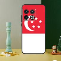Singapore Flag Phone Case For OnePlus 13 13R 12 12R 11 9 10 Pro 8T 9RT 10T 10R Nord 4 CE 2 3 Lite N20 N30 OnePlus Nord N20