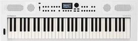 "Roland GO:KEYS 5" muzikos kūrimo klaviatūra, 61 klavišas, "ZEN-Core" variklis su daugiau kaip 1000 vidinių garsų, integruoti stereofoniniai garsiakalbiai, mikrofono įvestis, "Bluetooth Audio/MIDI" muzikos transliacijai - balta