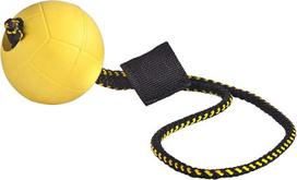 DINGO GEAR WWW.DINGOGEAR.COM 1977 Magnetinis rinkinys šunims dresuoti: Magnetas ir guminis kamuoliukas su magnetine rankena
