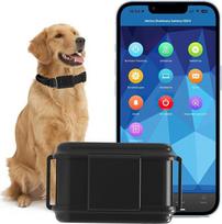 Winnes 4G GPS sekimo apykaklė šunims 3000 mAh GPS seklys šunims Realaus laiko sekimas Nemokama programėlė / platforma be ABO IP67 Vandeniui atsparus seklys šunims su duomenų statistika Garso šviesos signalas
