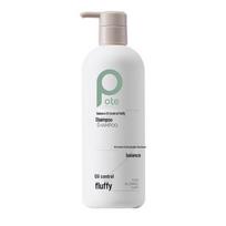 Botte Balancing Oil Control Volumizing Shampoo