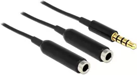 Delock skirstytuvo lizdo kištukas 3,5 mm 4 kontaktai> 2 x lizdas 3,5 mm 4 kontaktai 25 cm