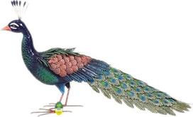 Nenurodyta_V Sodo dekoracija „Povas“, 94 cm x 28 cm x 52 cm