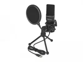 Delock USB Kondensator Mikrofonas Set - fr Podcasting, Gaming und Gesang