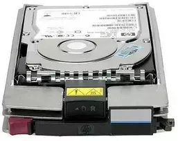 Hewlett Packard (HP) 1TB FC 7.2K HDD **Refurbished** (Atnaujinta)