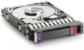 Hewlett Packard (HP) 300Gb 3G SAS 10K SFF DP ENT **Refurbished** (Atnaujinta)