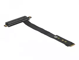 Delock M.2 Key M prie PCIe x16 NVMe adapteris su 20 cm laidu