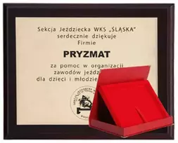Tryumf Plastikinis diplomas su graviruotu laminatu + dėklas 355x300 mm