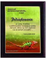 Tryumf Plastikinis diplomas su spalvotu touch laminatu