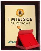 Tryumf Plastikinis diplomas su spalvotu jutikliniu laminatu + korpusas 275x220 mm